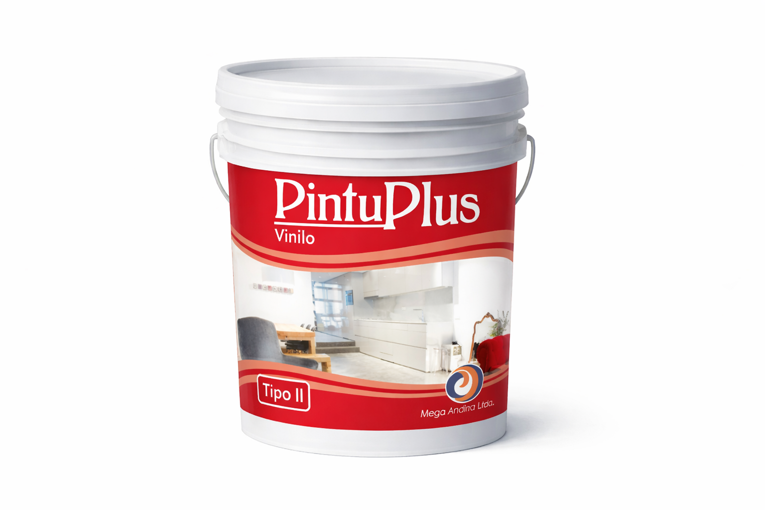 PINTUPLUS TIPO 2 - Presentación