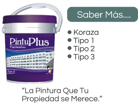pintura tipo 1